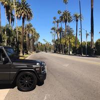 Отзыв от Антон - виза ДТВ